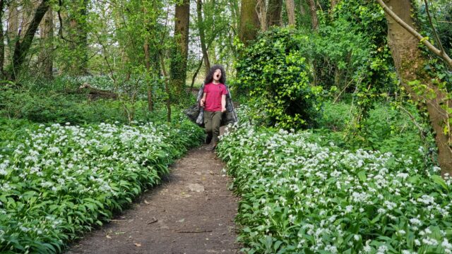 A 7-year-old wearing his coat inside-out and as a cape runs excitedly into a forest path overgrown with wild garlic.