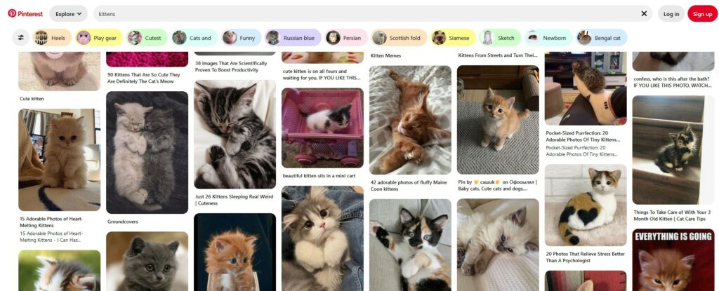Screenshot from Pinterest showing many kittens, not logged-in.