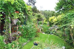 A well-maintaned and lively garden stretches away.