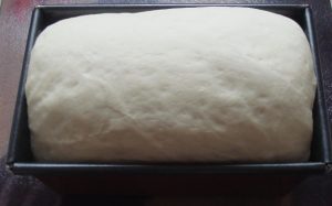 Bread dough in a loaf tin.