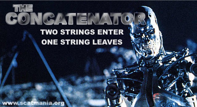 The Concatenator: Two Strings Enter, One String Leaves