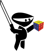 Ninja with a Rubix Cube