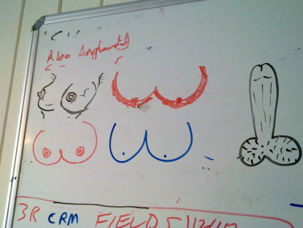 Leading candidates in the ad-hoc 'best boobies' competition. I still like Ele's.