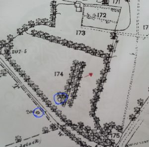 A map showing a field, hedgerows, water course and - highlighted in blue - a pond. The second highlighting in blue (bottom left) is a letter 'O', not a pond. I got carried away highlighting things, okay?