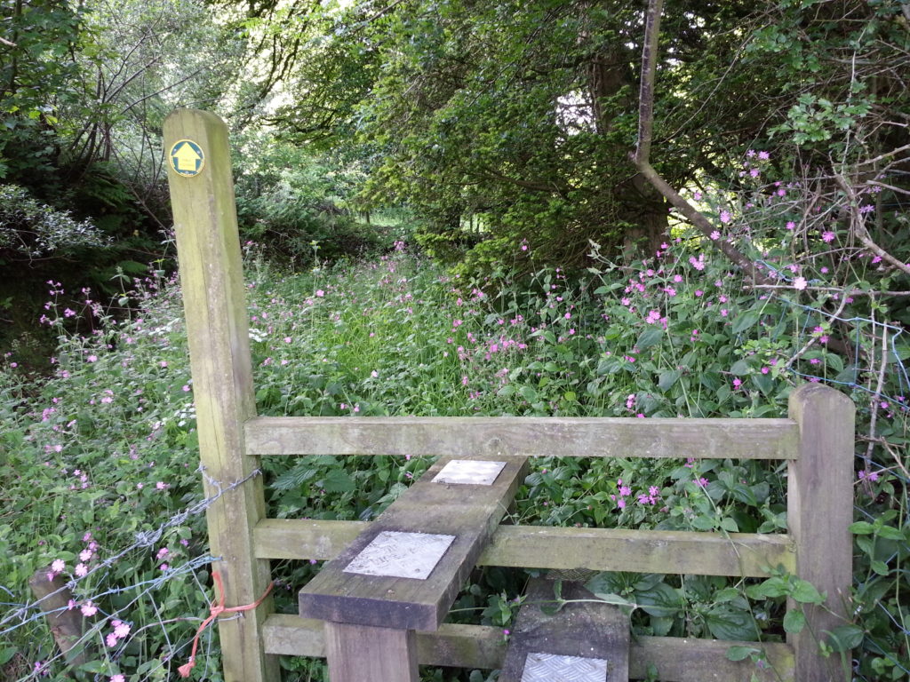 Stile to an overgrown path; Devon.