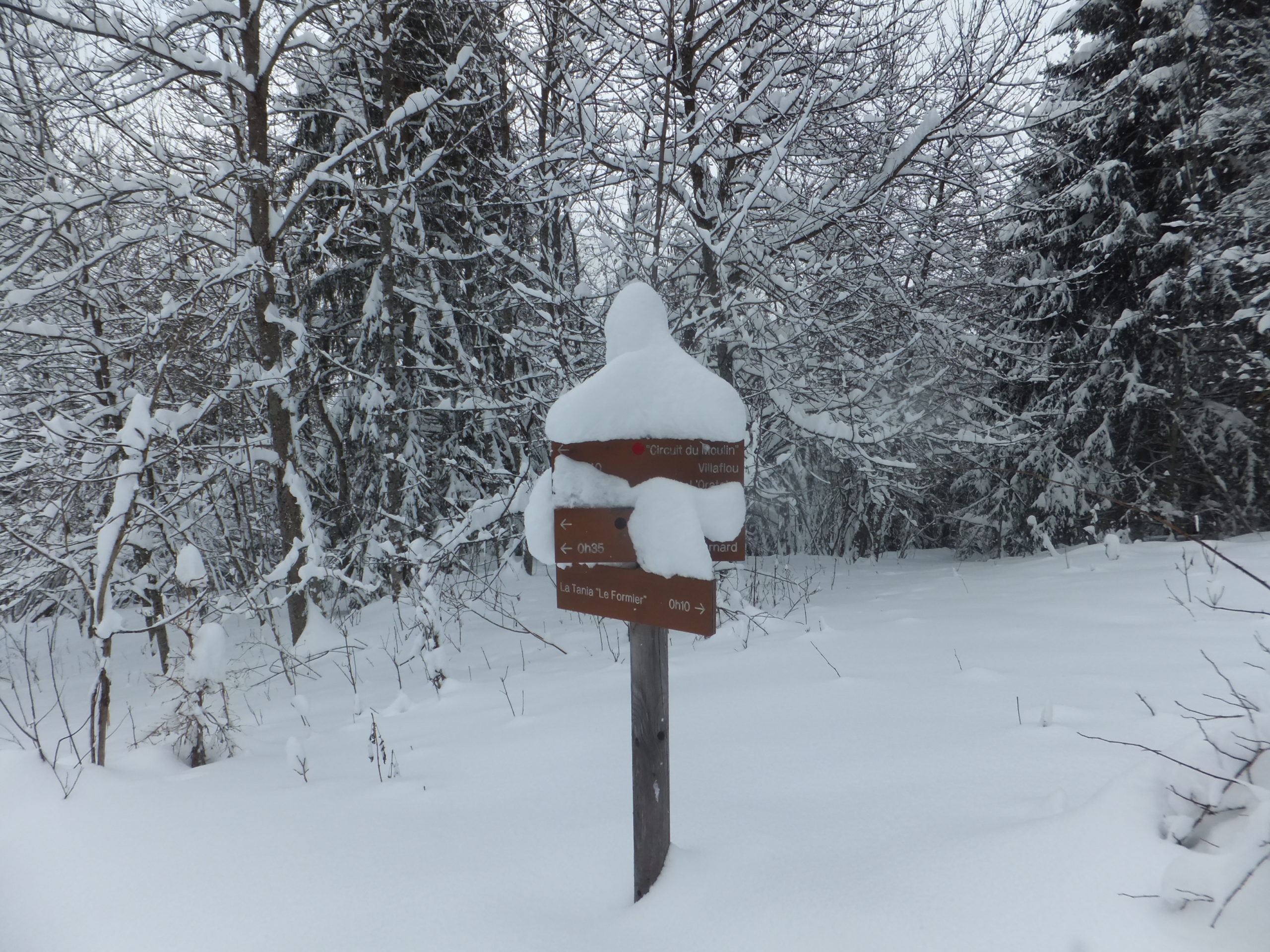 A hiking trail sign outside of La Tania, covered in snow.