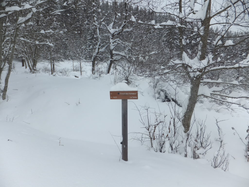 I wonder how many signposts we would have seen had we been on the correct course to begin with? The route looked completely buried, from where we stood.