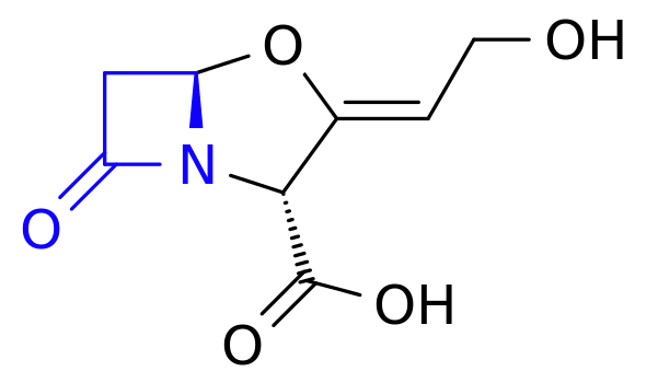 Clavulanic acid, with beta-lactam ring highlighted in blue.