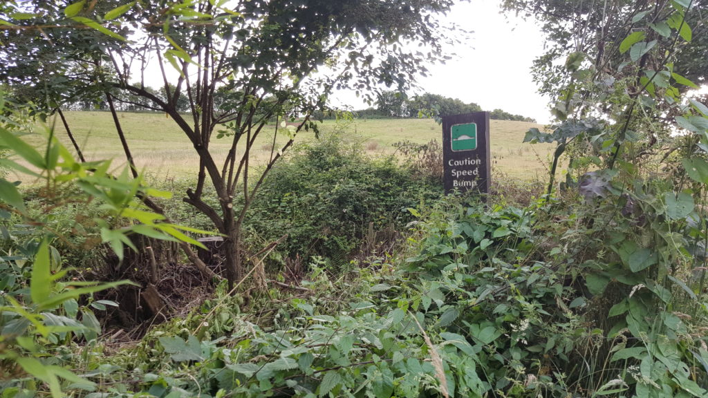 A speed bump sign in heavy undergrowth.