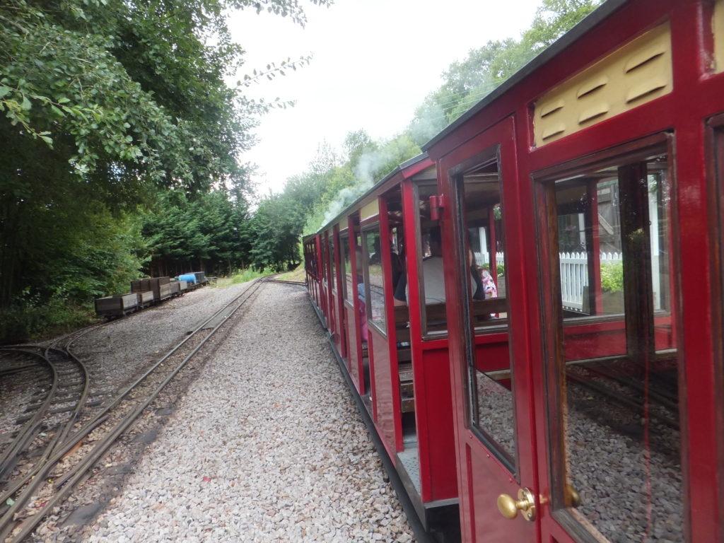 Steam train in the Forest of Dean.