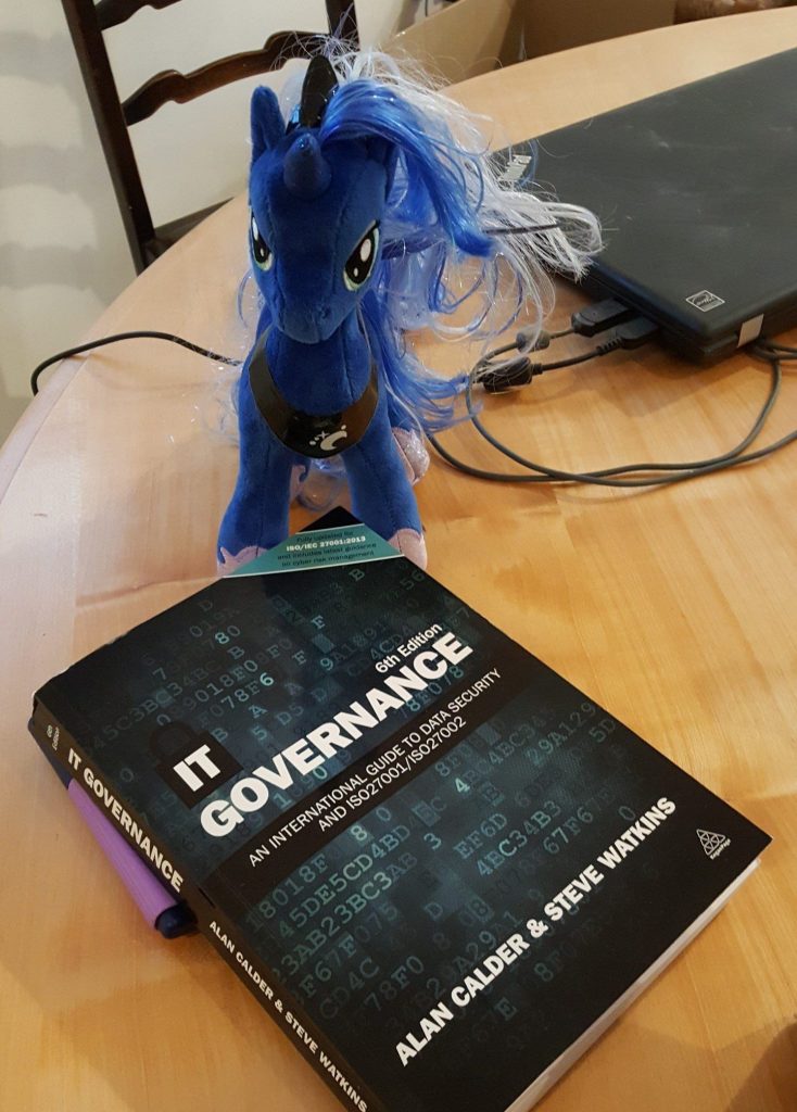 Toy Princess Luna with a book on IT Governance