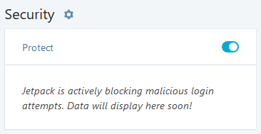 Jetpack security settings: "Protect" switch
