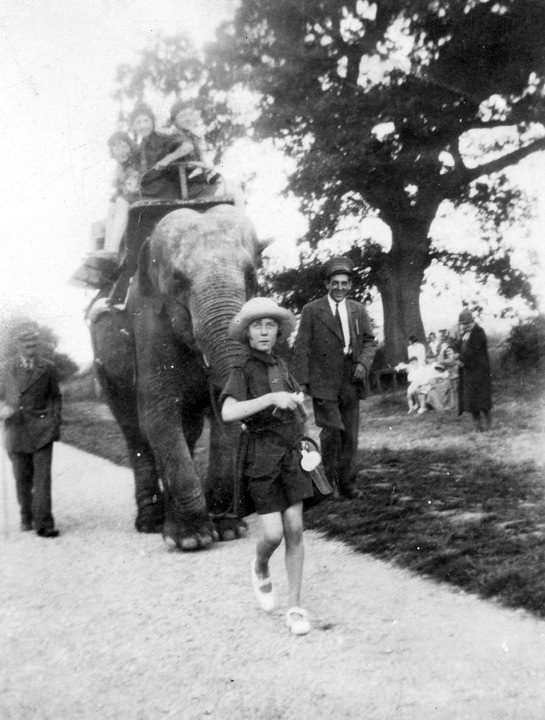Rosie the elephant provides rides for children