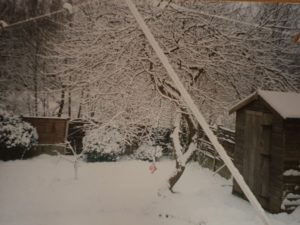 Snow in Dan's mother's garden