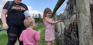 Annabel shows John how to feed the animals.