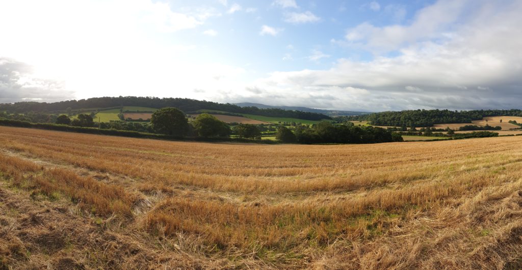 Sunshine over the valley