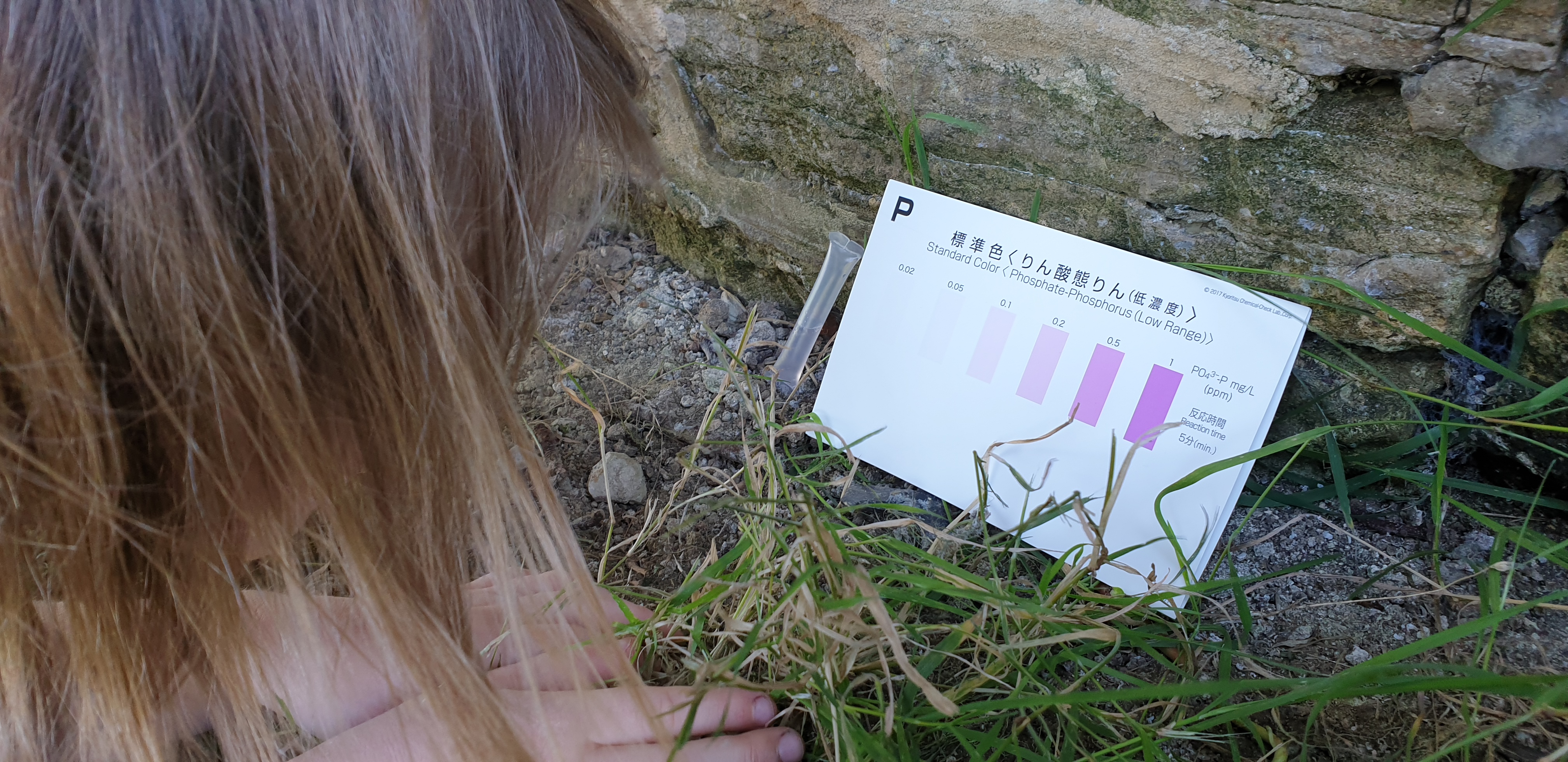 Annabel compares her sample to the colour chart.