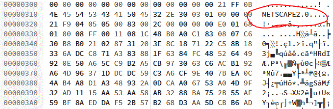 Hex editor view of a GIF file's metadata section, showing Netscape headers.