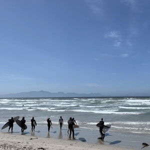 Dan and other members of his team head out into the sea with surfboards (animated GIF).