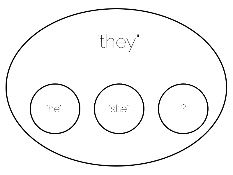 Venn-Euler diagram showing the superset "they" (all people) containing subsets "he", "she", and an unnamed subset.