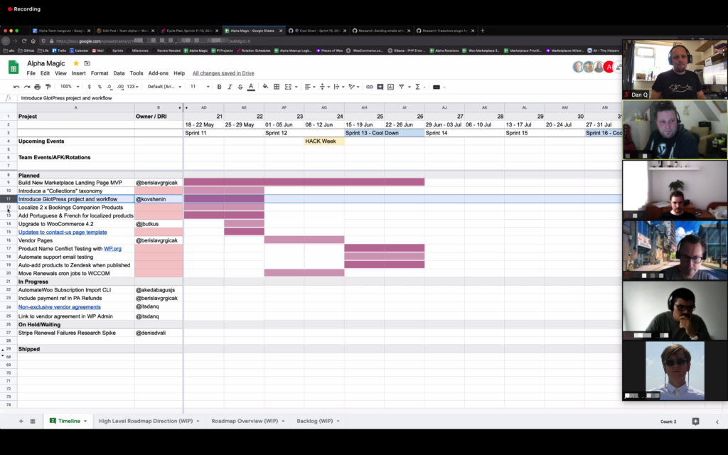 Alpha project planning meeting via Zoom.