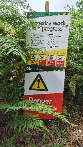 Forestry Commission sign advising that work is in progress.