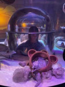 Child peering into a fishtank using a dome underneath it.