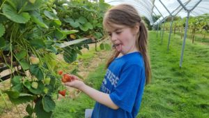 A girl pulls a face as she looks at a strawberry.