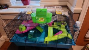 A fully-assembled 'hamster heaven' cage.