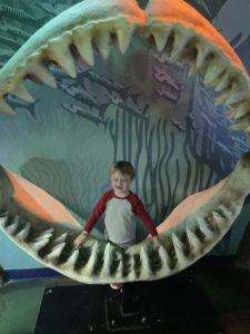 Boy in the (bones of the) mouth of a shark.