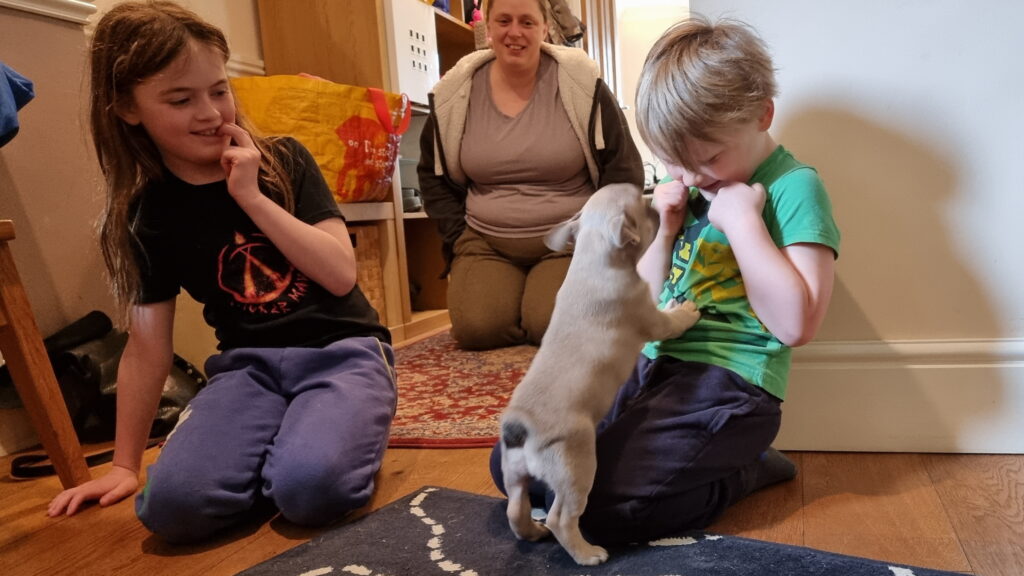 Ruth, in the background, watches on as a French Bulldog puppy jumps up at her two children, a girl and a boy, in a wood-floored hallway.