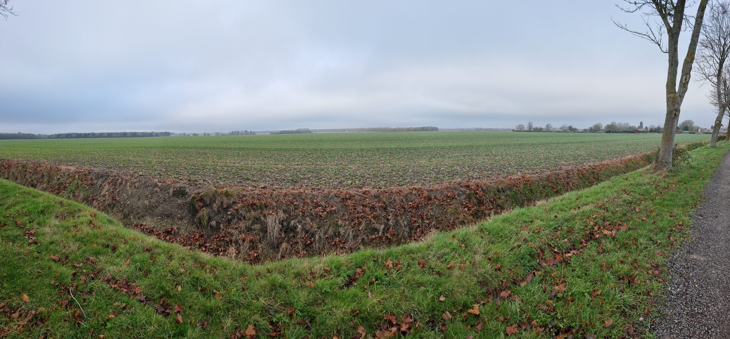 Panorama showing flat autumn fields, fallow, on the other side of a ditch. A distant tree line and farm buildings mark the far end of the field.