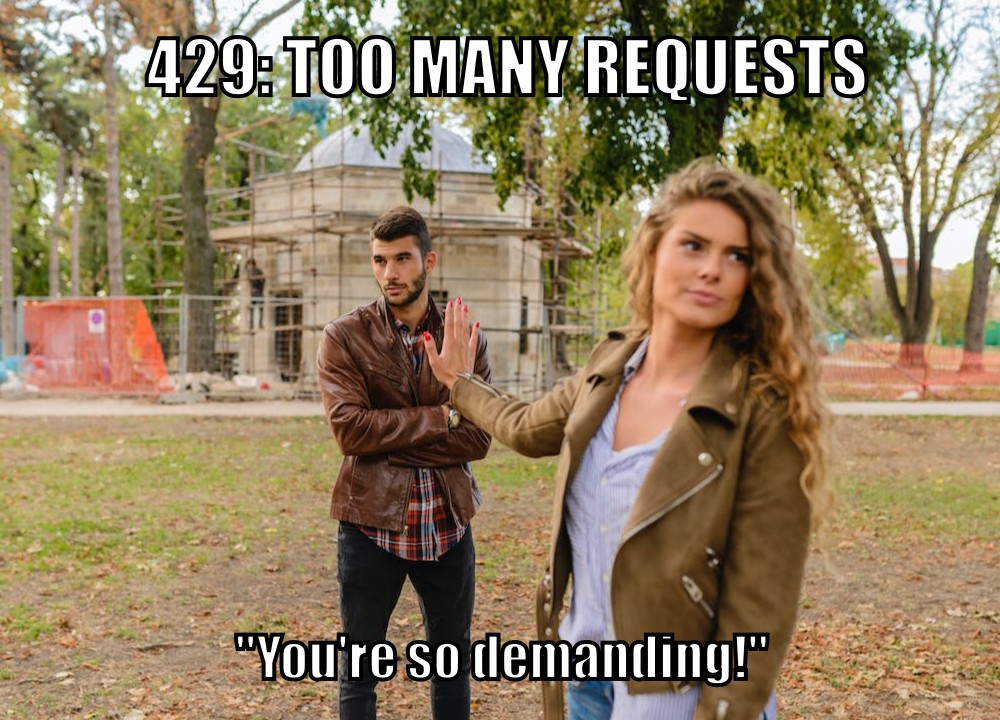 429: Too Many Requests ("You're so demanding!")