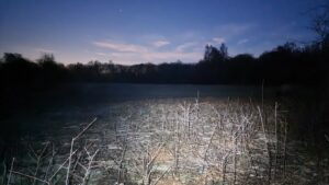 Long exposure of South Leigh Common: the last of the sunlight disappears behind dark trees; damp frosty ground can be seen by torchlight.