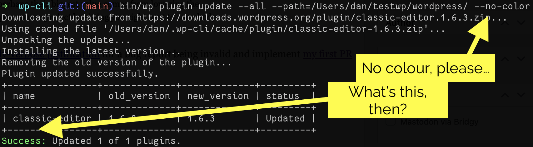 Screenshot showing a user running `wp plugin update --all --no-color` but the output putting the word "Success" in green.