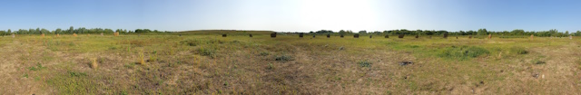 Ultrawide panoramic picture showing a full circle of standing stones under a clear sky. The dry grass has been cut back, and the remains of a campfire can be seen.
