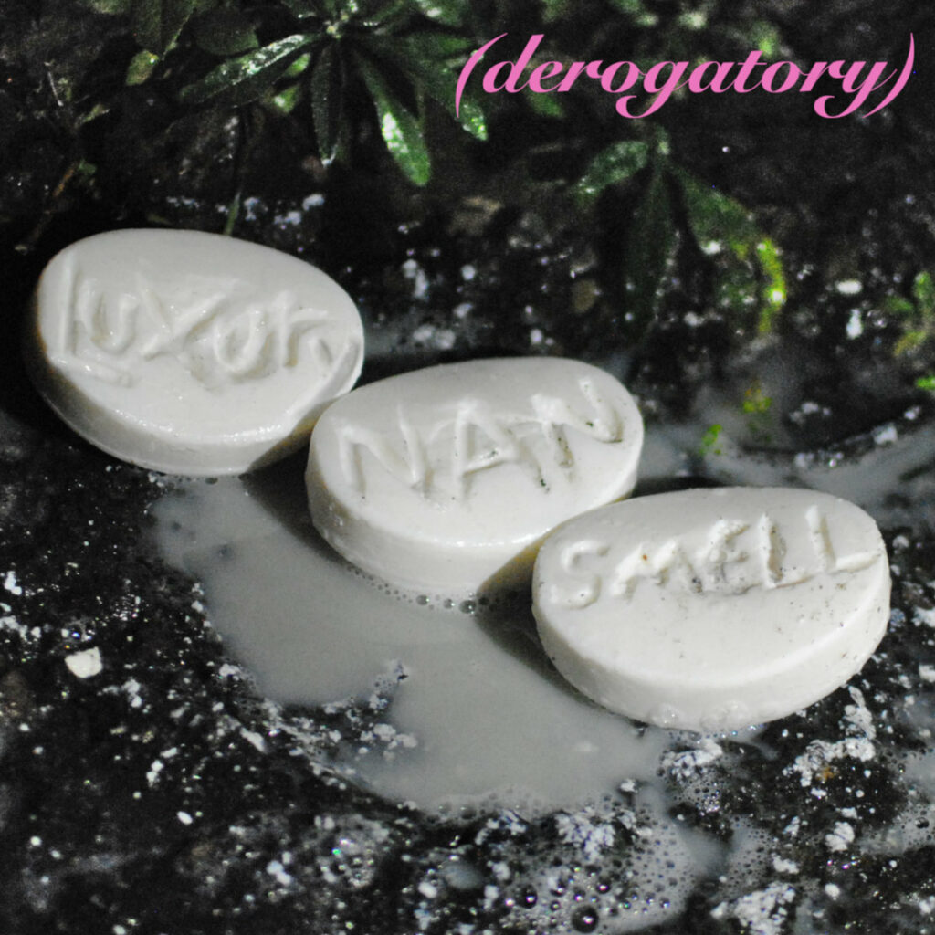 Album cover art for (Derogatory), showing the title in pink cursive script over a three small white ovoid pills dissolving on the ground. The words "luxury nan smell" are carved into the pills.
