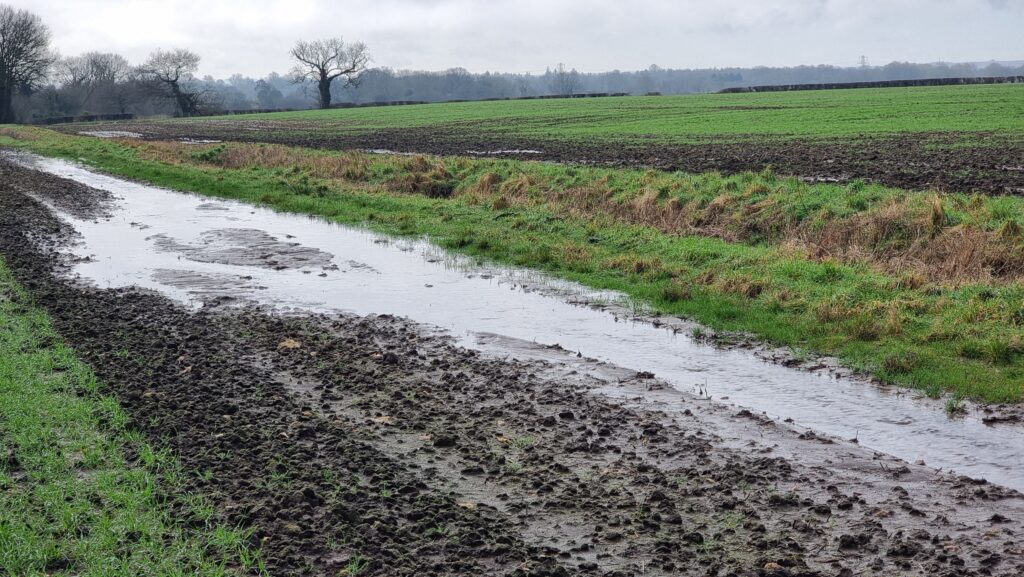 A waterlogged path alongside a field.