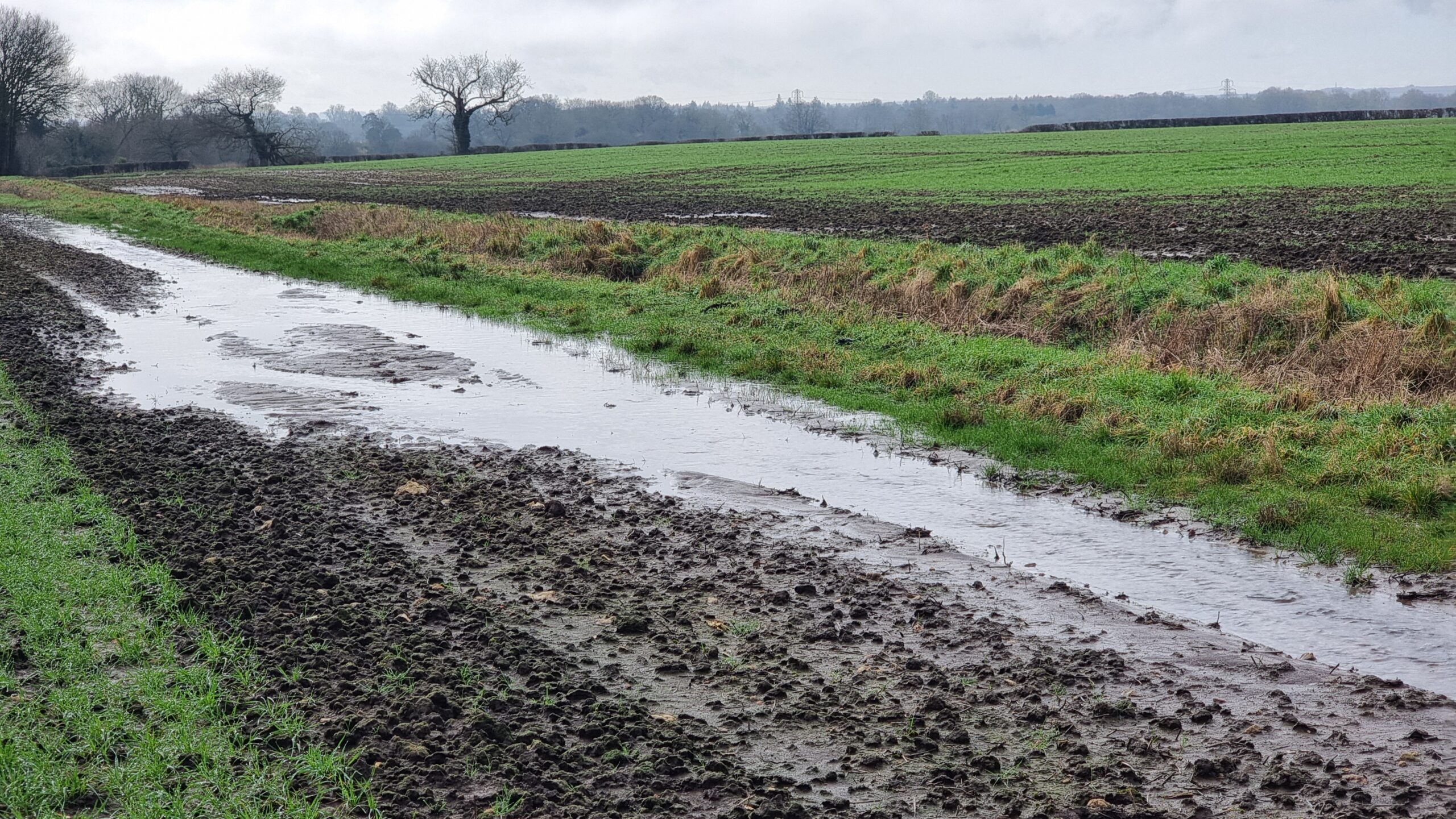 A waterlogged path alongside a field.