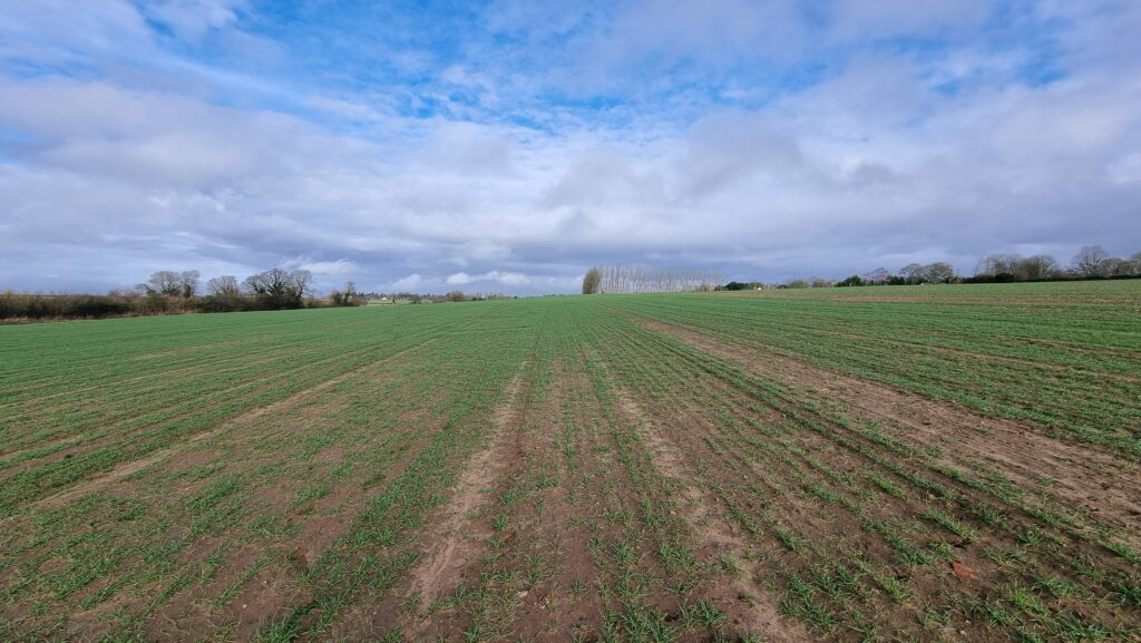 A field with furrows and wispy clouds above.