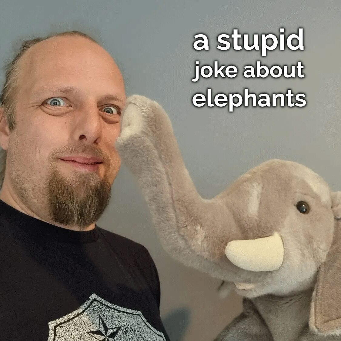A Stupid Joke About Elephants episode artwork