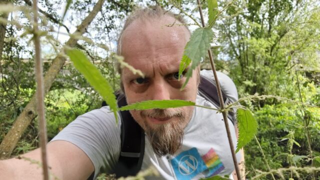 Dan pushes his way through tall nettles.