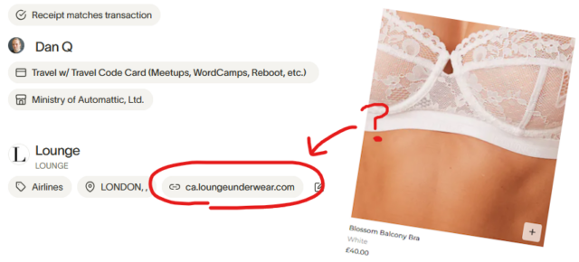 Screenshot from expenses system indicating that a purchase was made at loungeunderwear.com, with a photo showing an example of something sold at that website - a lacy bra - overlaid.