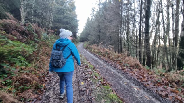 A woman wearing a grey bobble hat and a blue coat walks away down a forest track.