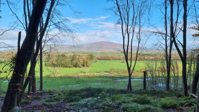 Under a blue-white sky, a rounded hill towers over a fertile green valley dotted with little white houses, as seen from between the trees of an ancient forest.