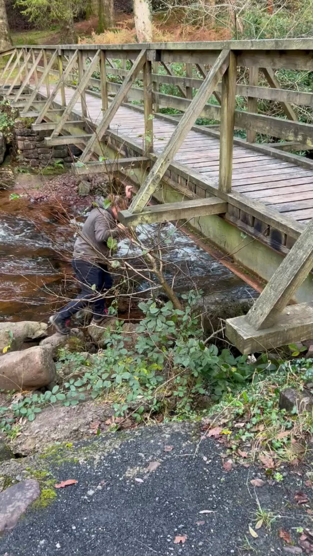 Dan clambers under a wooden bridge over a river.