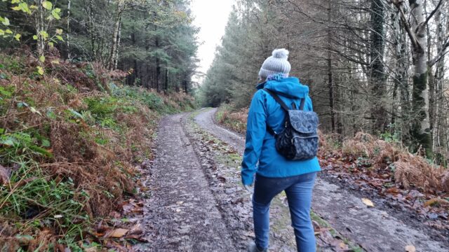 Dan's mum climbs a hill into a forest.