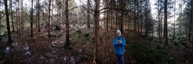 Panoramic view of a forest with a woman in it.