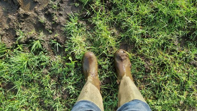 Muddy wellies, as seen by the person wearing them.