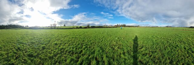 Panoramic view showing many fields, bordered by hedgerows and distant forests.